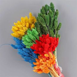 Dried Flowers 30pcs Natural Colourful Gem Grass Bulrush For Table Decoration And Accessories Party Wedding Home Decor