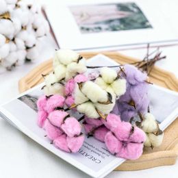 Dried Flowers 10pcs Natural Cotton Home Furnishings Wedding Decoration White Flower Branch Simple Modern