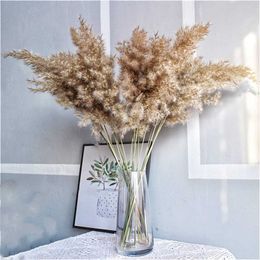 Dried Flowers 5/10Pcs Natural Real Grass Bouquet Fluffy Feather Wedding Special Flower Ceremony Decoration Modern Home