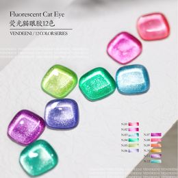 Nail Gel 12 Colours Fluorescence Cat Eye Gel Nail Polish Magnetic UV LED Soak Off Gel Lacquer Enamel Meteorite Nail Art Gel Varnish 230703