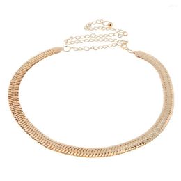 Belts Fashion Women's Tassels Mental Gold Belt Waist Chain Belly Sequins Thin Chains Women Waistband Strap Dress Accessories