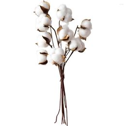 Decorative Flowers White 9 Stems Natural Dry Flower Cotton Branches Artificial