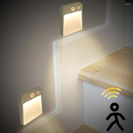 Night Lights LED Light Motion Sensor Cabinet Battery Operated Wall Decorative Lamp For Hallway Pathway Wardrobe Indoor Lighting