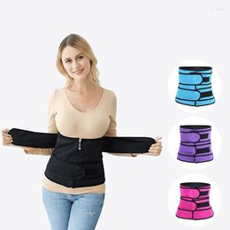 Women's Shapers Body Double Belt Zipper Bodysuit Large Sports Corset Waist Cinchers Blue Purple Black Rose Women