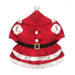 Cat Costumes Dog Clothes Christmas Dress Halloween Decoration Pet Up Ropa