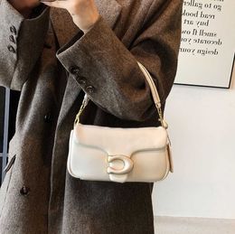 Luxury Designer Brand Female New Bag for Woman Candy Color Super Soft Cloud Shoulder Student Fashion Messenger Handbag Commuter bag