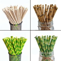 Biodegradable Bamboo Paper Straw Bamboo Straws Eco-Friendly 25pcs per Lot Party Use Bamboo Straws