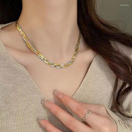 Chains Designer Hand-woven Stainless Steel Necklace Women Personality Collarbone Chain Mix Colour Party Daily Wear Gift