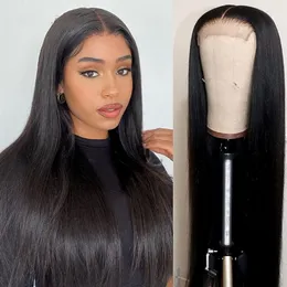 Straight Hair HD Lace Closure Wigs Brazilian 100% Human Hair 26Inches Natural Black Color Pre Plucked For Women
