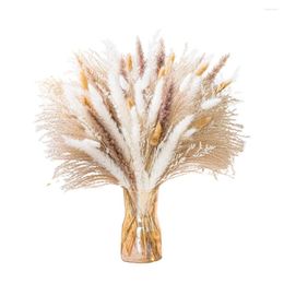 Decorative Flowers Dried Pampas Grass Not Wither Long Lasting Fake Plant Scene Layout Exquisite Artificial Party Supplies