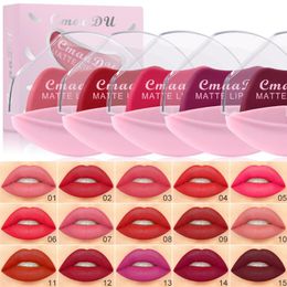 Sets 2022 New Cmaadu15 Colour Lazy Lipstick Matte New Style Lipstick Makeup Matte Lipstick Lip Stick Set Free Shipping Beauty