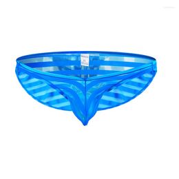 Underpants Sexy Gay Underwear Men Briefs Shorts Transparent Mesh Panties Man Low Waist U Convex Pouch Cueca Masculina S-XL