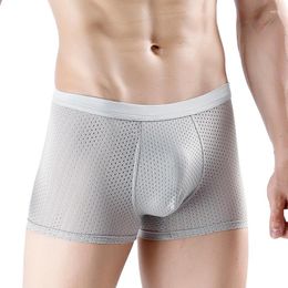 Underpants Summer Hollow Ice Silk Boxer Shorts Breathable Men's U Convex Sexy Underwear Men Modal 4XL