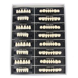 Magnifying Glasses 4 12 16sets box Dental Resin Teeth Posterior Anterior Full Mouth Denture Large Size 2 Layers Economical 230704