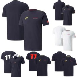 Men's T-Shirts F1 Team T-shirt Formula 1 Racing Suit T-shirts Polo Shirt Race Quick Dry Short Sleeve Summer Casual Sport T-shirt Breathable Jersey Q9X4