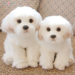 Plush Dolls Maltese Stuffed Dog Toy Cute Simulation Pets Fluffy Baby Birthday Gifts Christmas Children Malzis Puppy Drop 230705