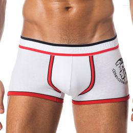 Underpants Men Underwear Boxer Brand Penis Sexy Mesh Cueca Male Pants Trunks Shorts Gay Boxers