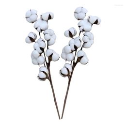 Decorative Flowers Naturally Dried Cotton Flower Fake DIY Bouquet Simulation Artificial Kapok Head Natural