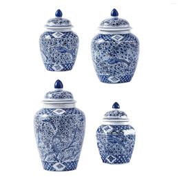 Storage Bottles Porcelain Ginger Jar Handicraft Traditional Decorative Plants Holder Ornament For Desk Living Room Party Decoration