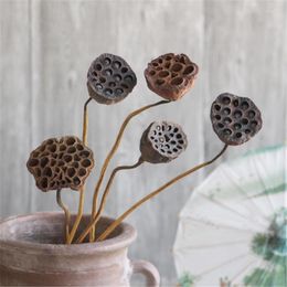 Decorative Flowers 5pcs Dried Bonsai Decor Seedpod Of Lotus Real Plants Flower Pods With Stems