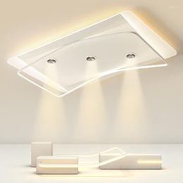 Ceiling Lights Modern Living Room Led Dimmable Spotlight Metal Acrylic Bedroom Lamp Painted Nordic Mounted Lamps