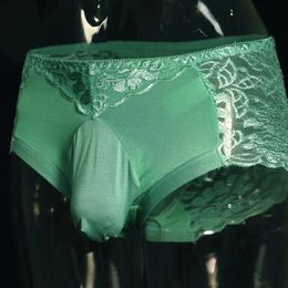 Sexy Men U Convex Pouch G-string Lace Sheer See Through Cock Socks Pouch Briefs Sexy Thong T-back Candy Colour Plus Size F12271y