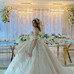Ivory Shiny Ball Gown Quinceanera Dresses Prom Graduation Gowns Lace 3DFlower Princess Sweet 16 Dress vestidos de 15 anos