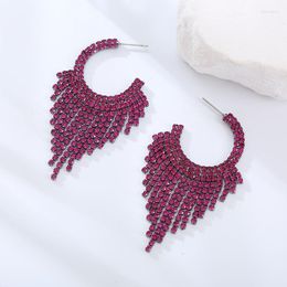 Dangle Earrings Statement Luxury Tassel Rhinestone Drop Fuchsia Crystal Women Ladies Exaggerated Wedding Jewellery