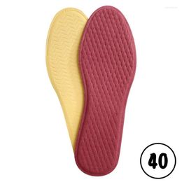 Carpets Winter Warm Insoles Breathable Shoe Feet Heat Soft Cosy Thermal For Women Men Adults Elders Teenagers Cold