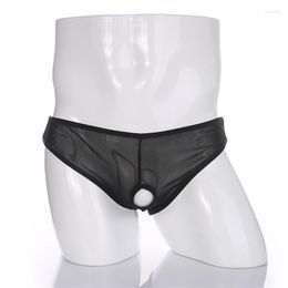 Underpants Sexy Lingerie Gay Men Mesh Underwear Briefs Open Front Penis Pouch Hole Hollow Out Transparent Male Sissy Panties