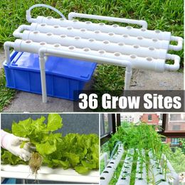 Planters 36 Holes Hydroponic Piping Site Grow Kit Deep Water Culture Planting Box Gardening System Nursery Pot Rack