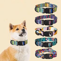 Dog Collars Adjustable Pet Traction Rope Cat Collar Small And Large Supplies