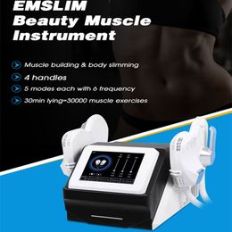 Portable Slim Beauty Pro Build Muscles Stimulate Body Ems Body Sculpting Tesla Machine Cellulite Remover