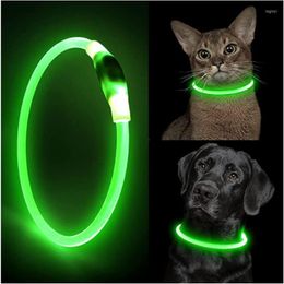 Dog Collars LED PVC Glowing Collar Optical Fib Adjustable Flashing Rechargea Luminous Night Anti-Lost Light HarnessFor Small Pet Prod