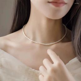 Choker Skyfish 3mm Small Rice Grain Natural Freshwater Pearl Necklace S925 Silver Plated 18k Gold Stackable Temperament