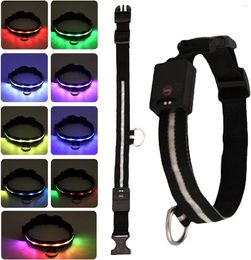Dog Collars Lighted Rechargeable - Waterproof LED Collar For Night Safety | Pet Light Walking Dogs At Col