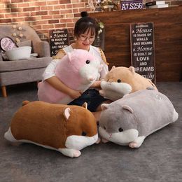 Stuffed Plush Animals 50cm Cute Hamster Plush Dolls Plush Toys Simulation Hamster Guinea Pig Large Hands Warmer Plush Toys Children Birthday Gift L230707