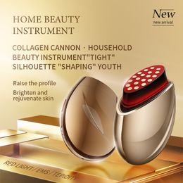 Face Care Devices Portable Radio Frequency Beauty Instrument Massager Rejuvenation Wrinkle Remove LED Light EMS Microcurrent Lifting 230706