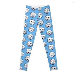 Active Pants Doodle Dog Cuteness - Goldendoodle! Labradoodle! Adorable Teddy Bear In Light Blue Leggings