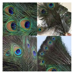 Novelty Items Elegant Decorative Materials Feather Beautif Feathers About 25 To 30 Cm 4148 Drop Delivery Home Garden Dhdwm