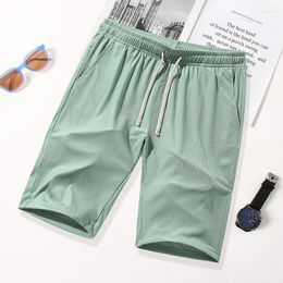 Men's Shorts Summer Casual Five-Piece Pants Ice Silk Quick-Drying Solid Colour Beach Outdoor Sports Versatile