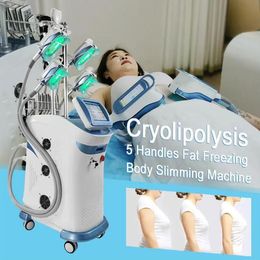 Original Cryolipolysis Slimming Vertical Effect Slimming Machine Fat Freezing Machine Body Slimming 5 Head Freeze fat removal Body shaping weight loss machine