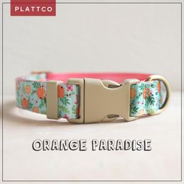 Dog Collars PLATTCO Polyester Pet Necklace Loop Contrast Colour Printing Leash Heat Transfer Cat Collar Orange Paradise PDC366