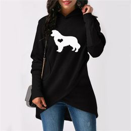 Women's Hoodies Cartoon Border Collie Dog Print Women Kawaii Femmes Spring Autumn Winter Animal Lover Gift Sweatshirt