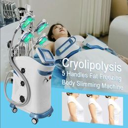 Directly effective Body Shaping Cryolipolysis Machine fat freeze slim beauty equipment 360 Degree Cryotherapy machine for fat reduce lose weight