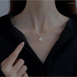 Pendant Necklaces Lucky Necklace Female Simple Temperament Ins Light Luxury Minority Design Four-Leaf Flower Clavicle Chain
