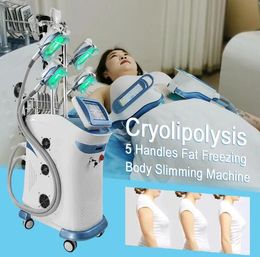 360 Cryolipolysis Slimming Vertical Effect Slimming Machine Fat Freezing Machine Body Slimming 5 Head Freeze fat removal Body shaping weight loss machine