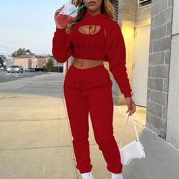 Pants Autumn Fleece Pink Three Piece Sets Tracksuit Women Outfits Sweatsuits Sexy Long Sleeve Hoodies Crop Top and Pants Sets Suit