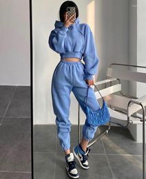 Women's Two Piece Pants 2023 Street Hooded Short Pocket Women Sweater High Waist Loose Tie Foot Guard Set Solid Colour Fashion Casual O-neck