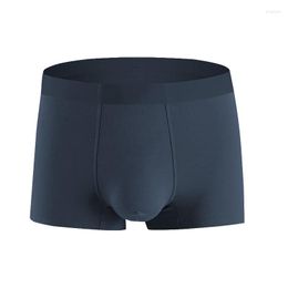 Underpants 3Pcs Modal Soft Men Boxers Underwear Breathable Young Boys Solid U Convex Pouch Shorts Sexy Seamless Panties Freeship